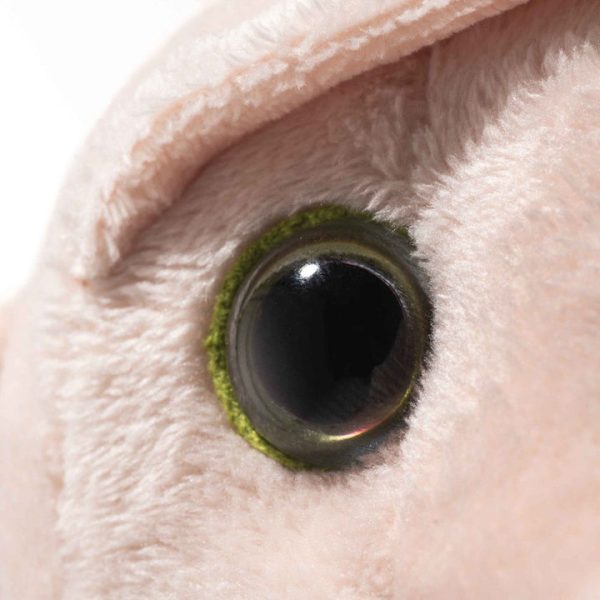 462d8f6e-aa55-4a1c-9837-d574482476ac_720x-1 462d8f6e-aa55-4a1c-9837-d574482476ac_720x-1