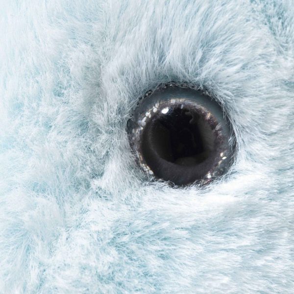 53c610d4-9fea-4d87-9987-9ab7bf8bc110_720x 53c610d4-9fea-4d87-9987-9ab7bf8bc110_720x