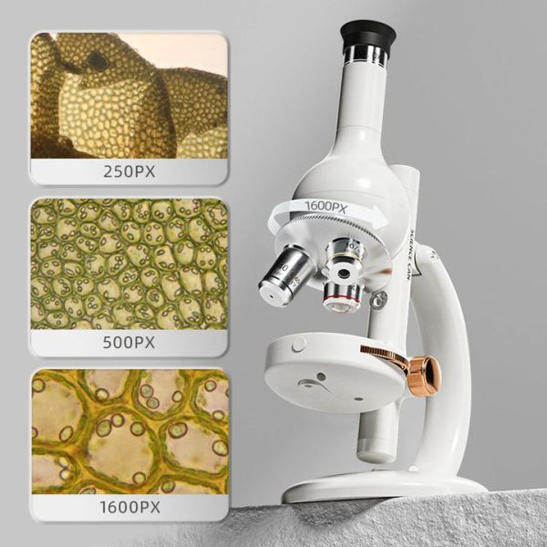 a89c8a54-7c17-4450-8b5f-a68d3fe48a79_720x-2 a89c8a54-7c17-4450-8b5f-a68d3fe48a79_720x-2