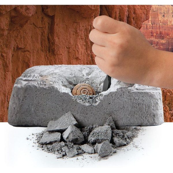 discovery-mindblown-stem-colossal-fossil-dig-set-32434812682327_720x-1 discovery-mindblown-stem-colossal-fossil-dig-set-32434812682327_720x-1