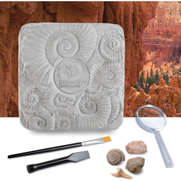 discovery-mindblown-stem-colossal-fossil-dig-set-32434812813399_720x-3 discovery-mindblown-stem-colossal-fossil-dig-set-32434812813399_720x-3