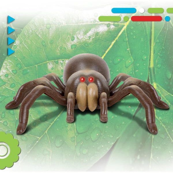 discovery-stem-remote-control-tarantula-spider-32434843091031_720x-3 discovery-stem-remote-control-tarantula-spider-32434843091031_720x-3