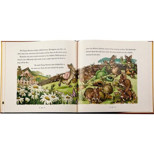 graphic-image-books-the-classic-tale-of-peter-rabbit-book-in-tan-bonded-leather-32343281991767_720x-4 graphic-image-books-the-classic-tale-of-peter-rabbit-book-in-tan-bonded-leather-32343281991767_720x-4
