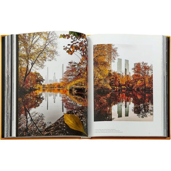 graphic-image-books-trope-new-york-book-leather-edition-1152077146_720x-1 graphic-image-books-trope-new-york-book-leather-edition-1152077146_720x-1