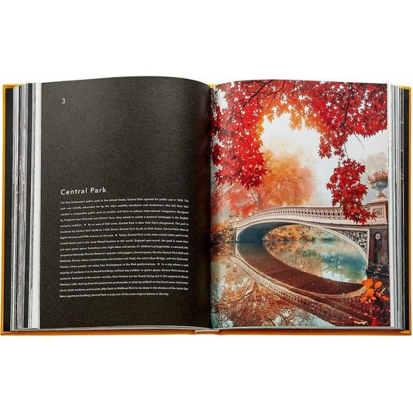 graphic-image-books-trope-new-york-book-leather-edition-1152077148_720x-1 graphic-image-books-trope-new-york-book-leather-edition-1152077148_720x-1