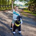 ponycycle-inc-preschool-black-ride-on-horse-ages-3-5-31162522206295_720x-2