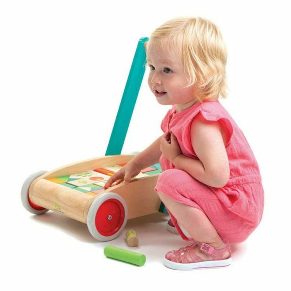 tender-leaf-preschool-baby-block-walker-29339713994839_720x-4 tender-leaf-preschool-baby-block-walker-29339713994839_720x-4