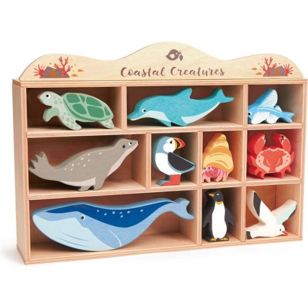 tender-leaf-toys-preschool-wooden-coastal-creatures-32422925533271_720x-1